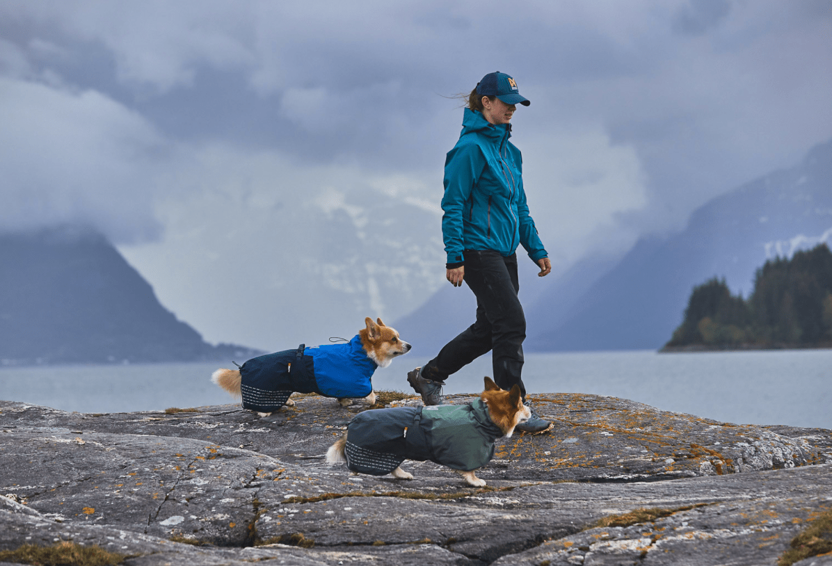 Fjord Raincoat (Non - Stop Dogwear) - SnowPaw Store - Non - Stop Dogwear - Dog Coats